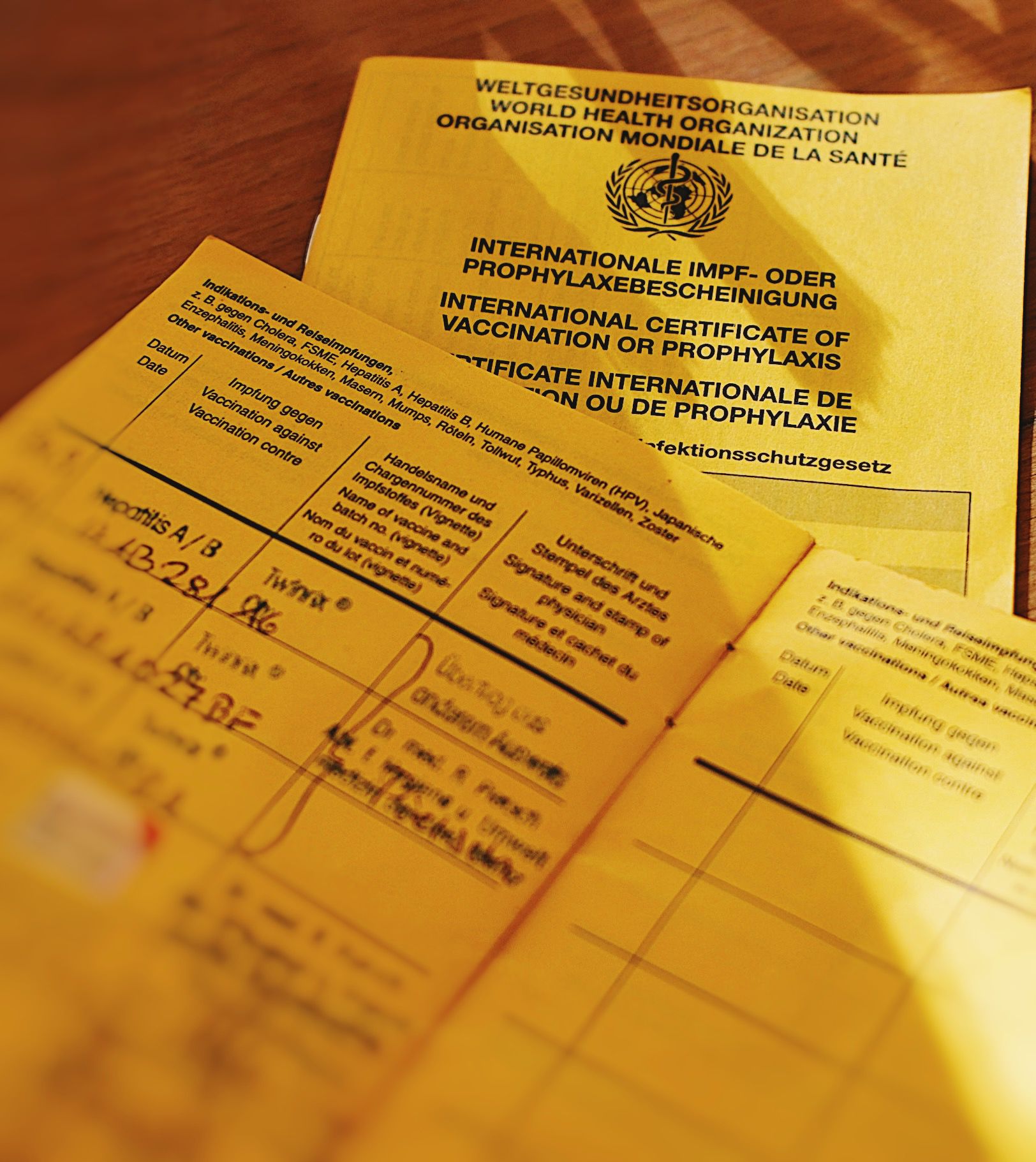 Impfungen für Kinder und Erwachsene